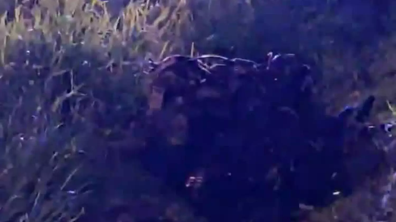 494196194-9598655960224698-5686194494775430716-n.mp4