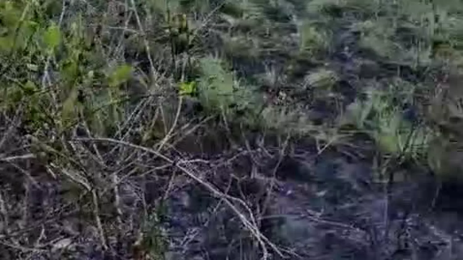 whatsapp-video-2026-05-05-at-202243.mp4