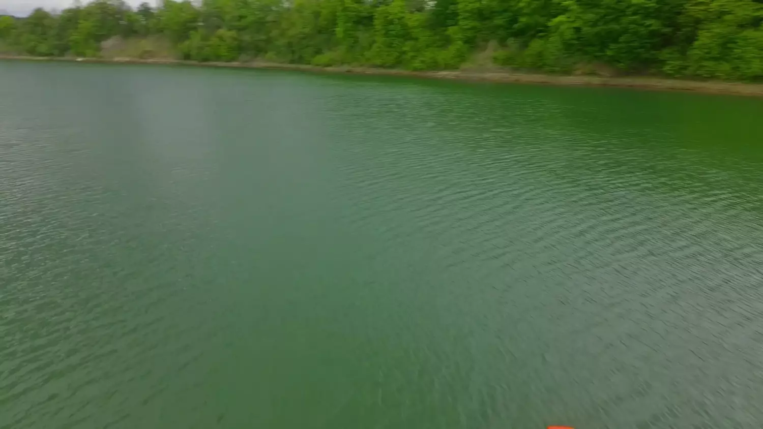 video-project-28-1.mp4