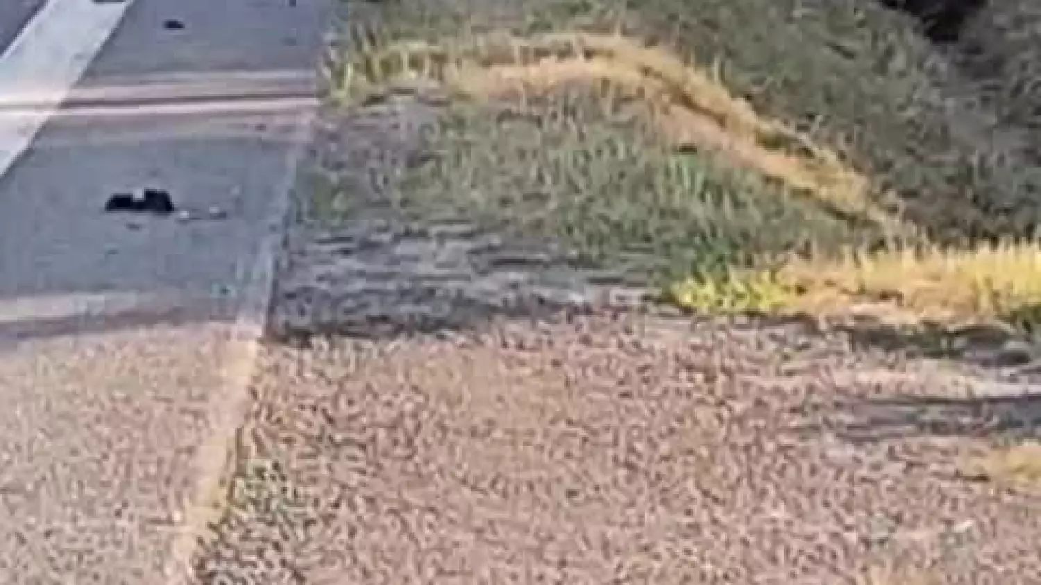whatsapp-video-2026-06-28-at-060146.mp4
